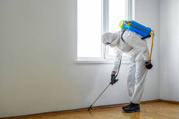 Flea Control Services in Millbrook, AL