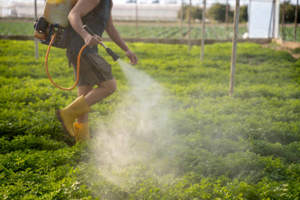 Best Exterminator Services  in Millbrook, AL