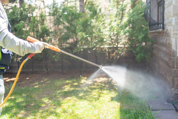 Best Mosquito Control Services  in Millbrook, AL